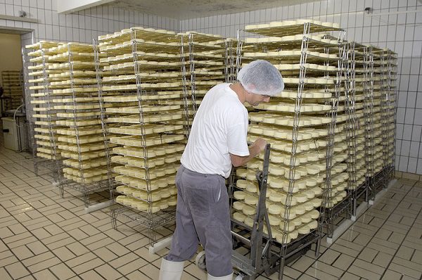 Terres et Territoires - fabrication de camemberts au lait cru AOC