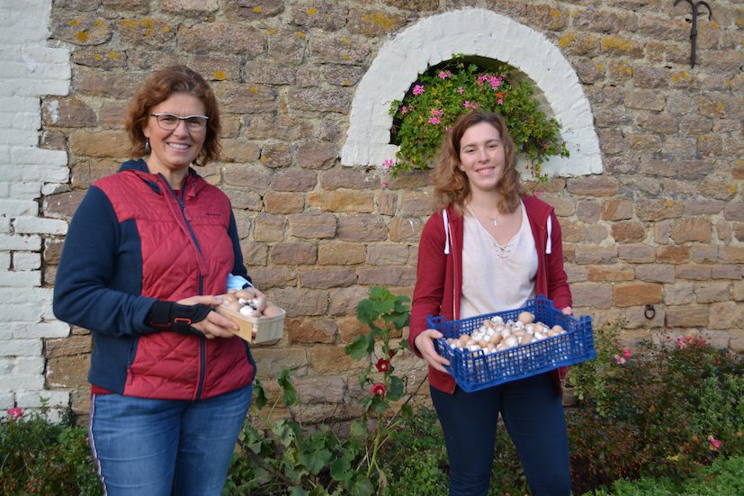 Isabelle Deleglise Leduc et Bénédicte Chochois champignons de paris bruns ferme du Wint à Brunembert © DR