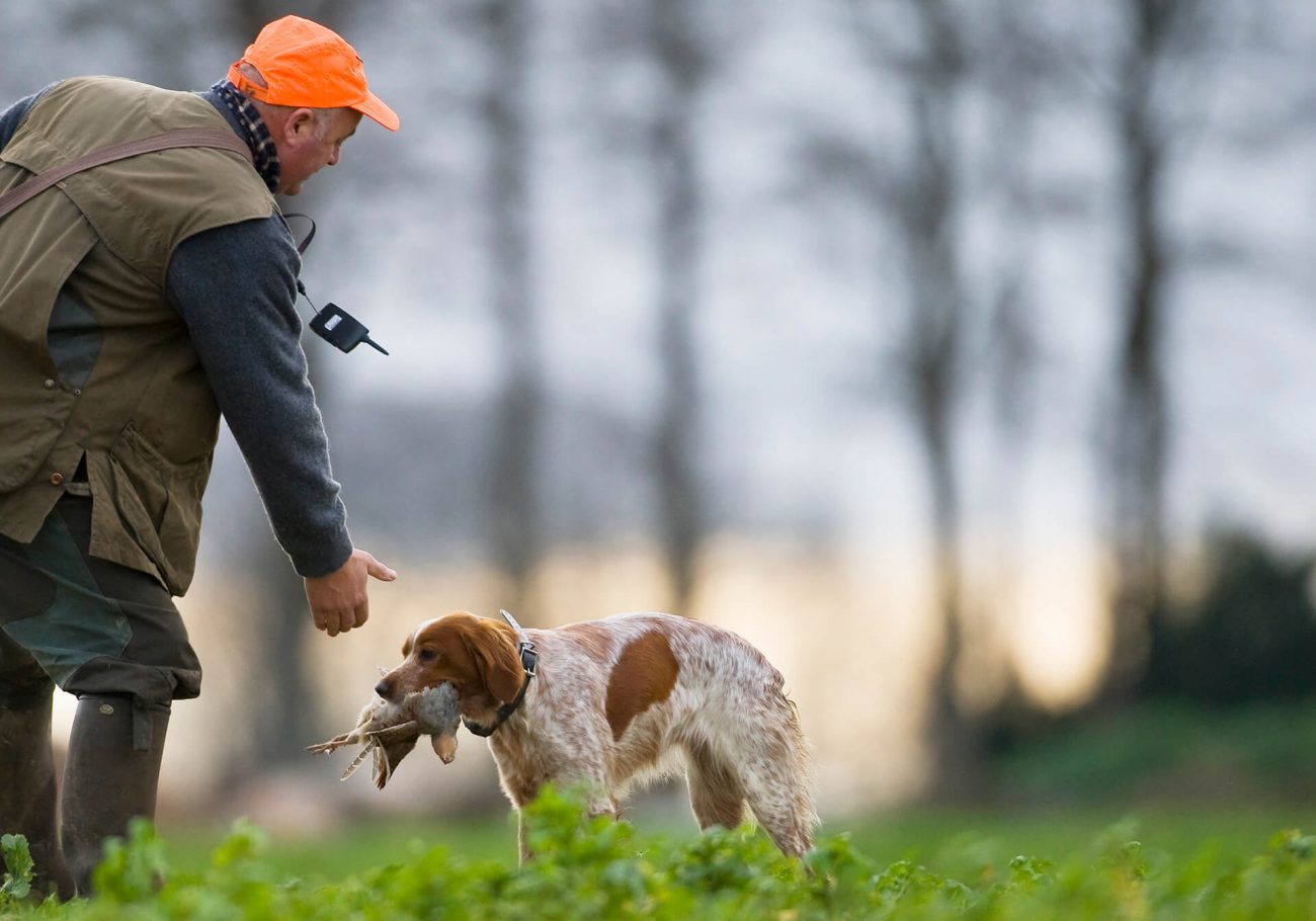 la chasse terre de rencontre