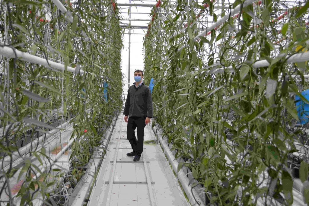 Antoine du Granrut vanille Eurovanille serre plante tropicale recherche © LB