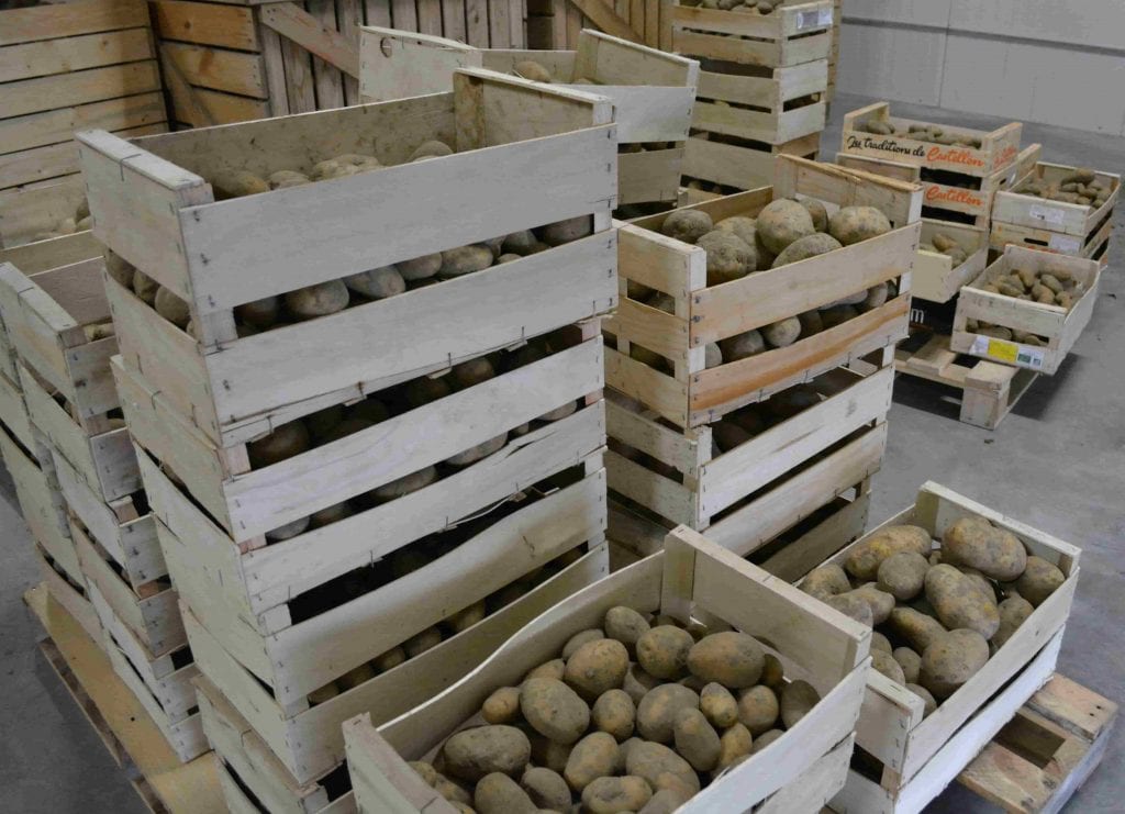 pommes de terre bio stockage © LB