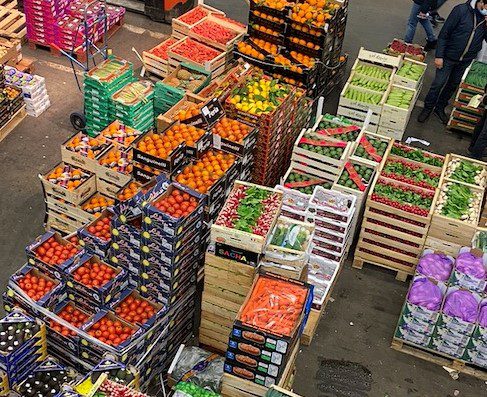 Terres et territoires Rungis fruits et légumes