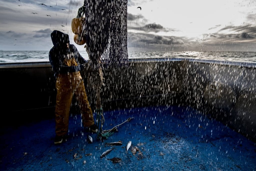Terres et territoires - attention a ne pas réutiliser - pêche poisson filet mer halieutique - © Frédéric Briois (4)