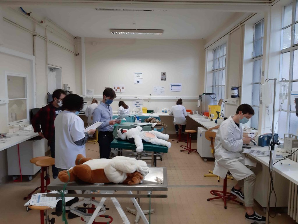 école vétérinaire étudiant © EnvA