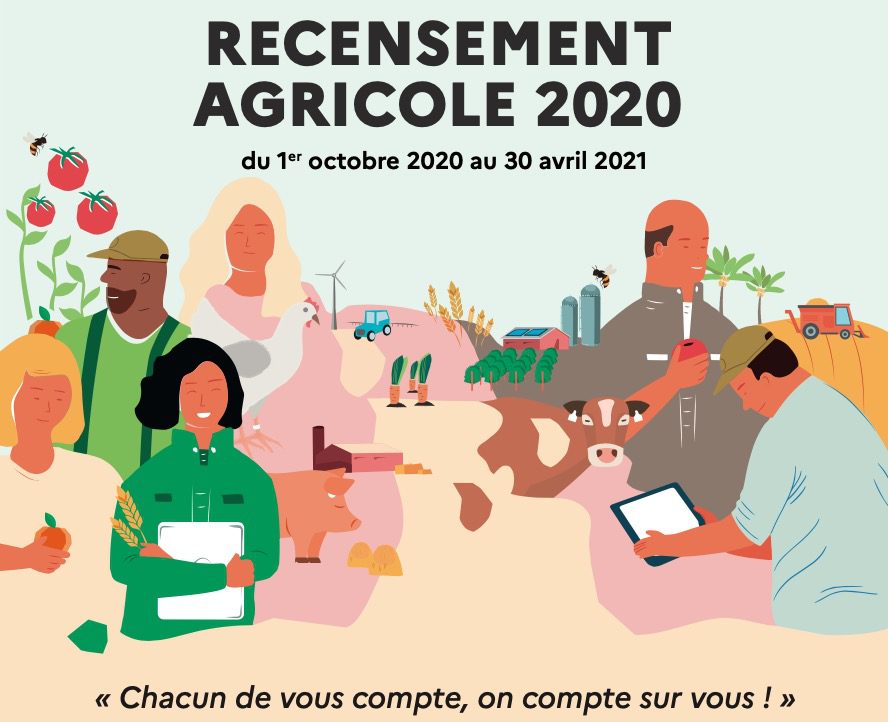 Terres et territoires Illustration recensement agricole 2020 ©Ministère de l'Agriculture