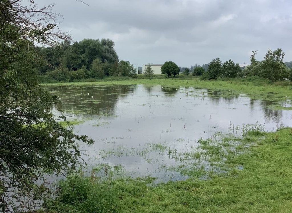 Terres et territoires inondations juillet 2021 Avesnois © MS Lesne (4)