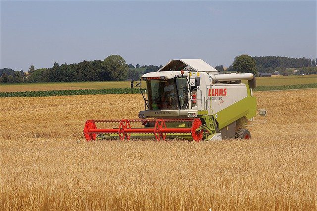 Terres et territoires moisson orge © Pixabay