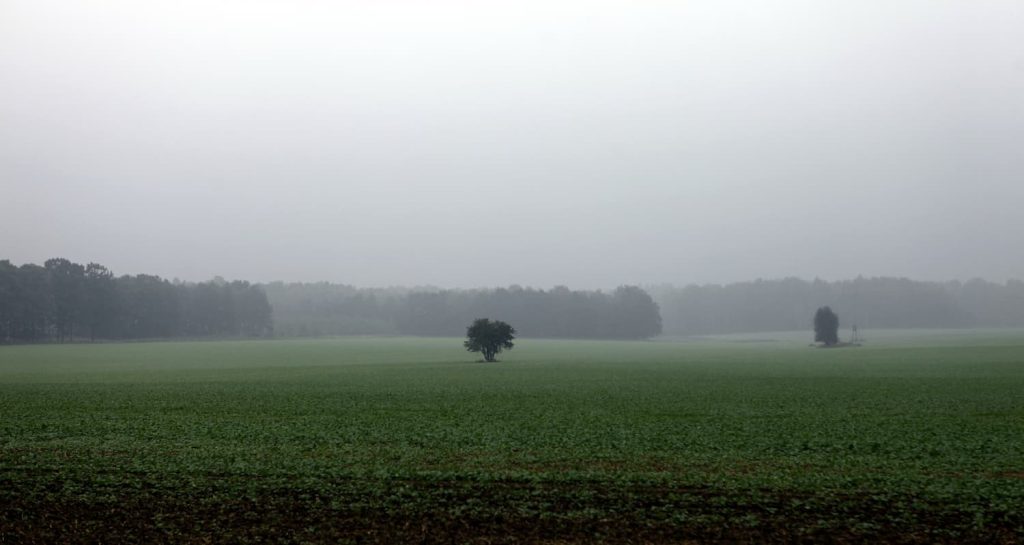 Pluie et vents ont marqué ce mois de mars.