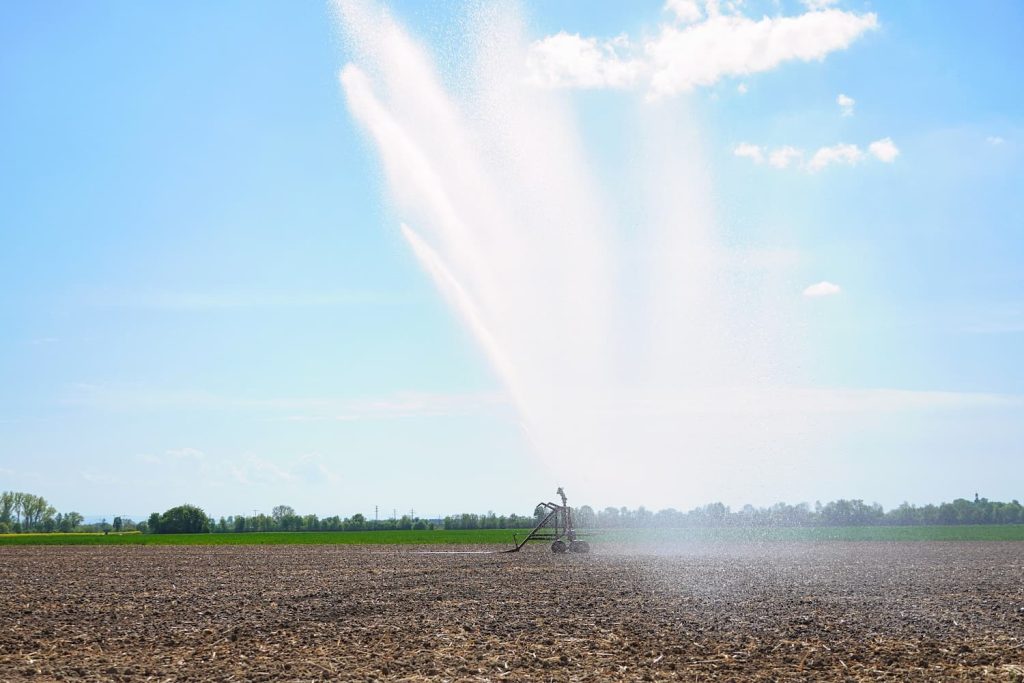 Le préfet du Nord a placé le département sous vigilance sécheresse, suivi, quelques jours plus tard, par le Pas-de-Calais. Des restrictions pourraient être imposées, notamment dans le secteur agricole.