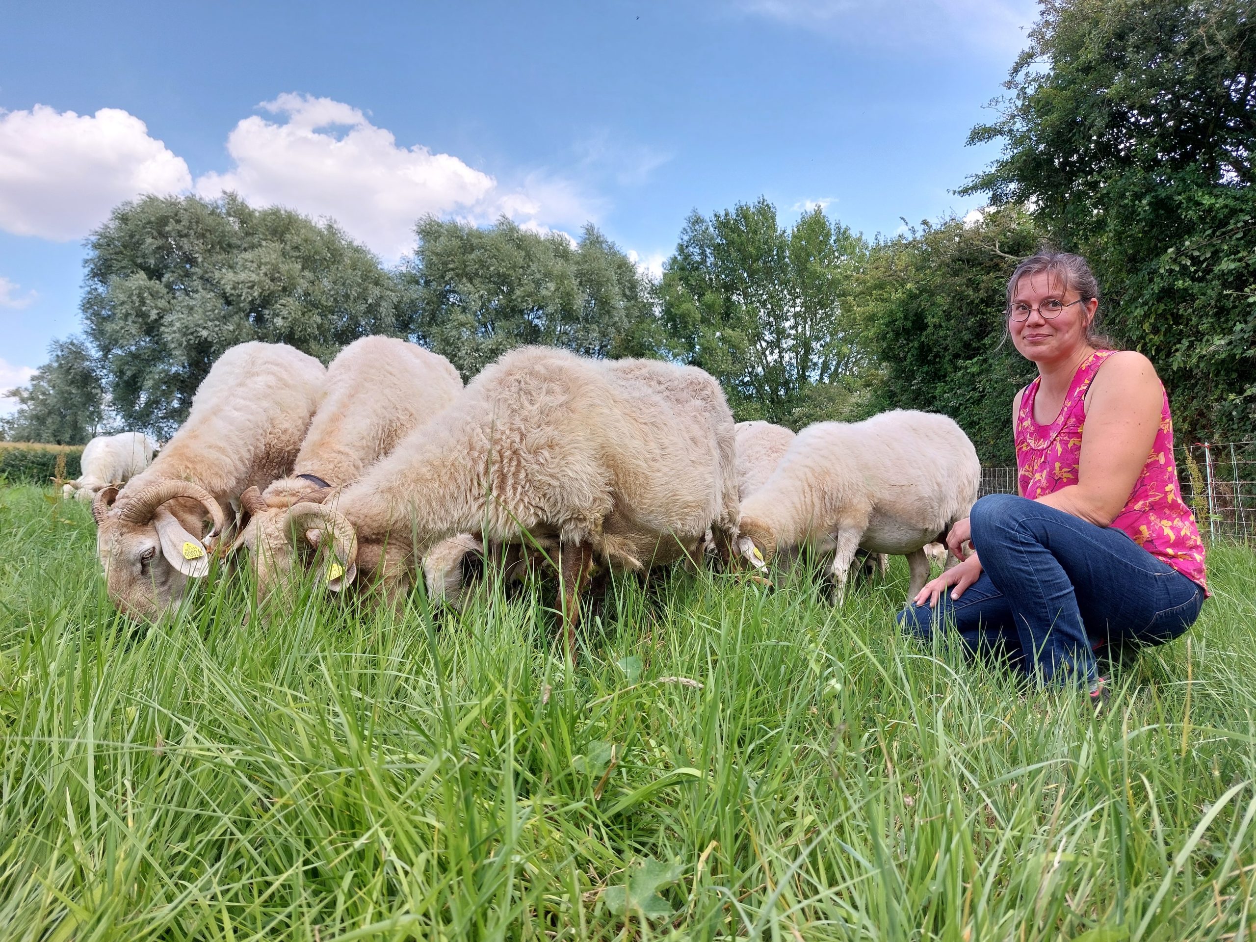 Violaine Calcoen, the eco-friendly shepherdess of the mountains of Flanders