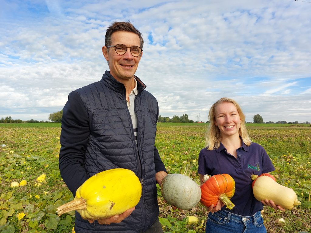 Gonzague Wattel et Clémence Andries défendent la consommation de courges classiques et plus inhabituelles.