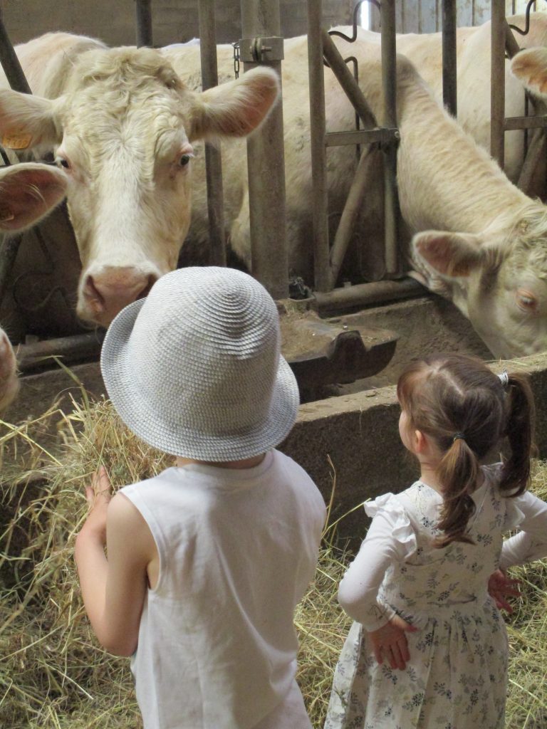 Du 1er juillet au 20 septembre, les membres du réseau Bienvenue à la ferme proposent un panel d'activités pour en découvrir davantage sur l'agriculture avec l'opération Un été à la ferme.