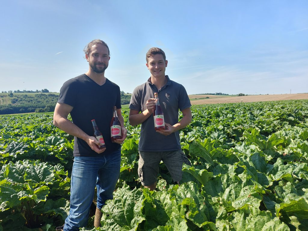 Les deux frères
agriculteurs, Louis et
Simon Jansens, cultivent
de la rhubarbe sur
20 hectares. Une partie de
leur production est dédiée
à la fabrication du
Rhubibulle. la spécialité
de la ferme du Watelet.© H. G.