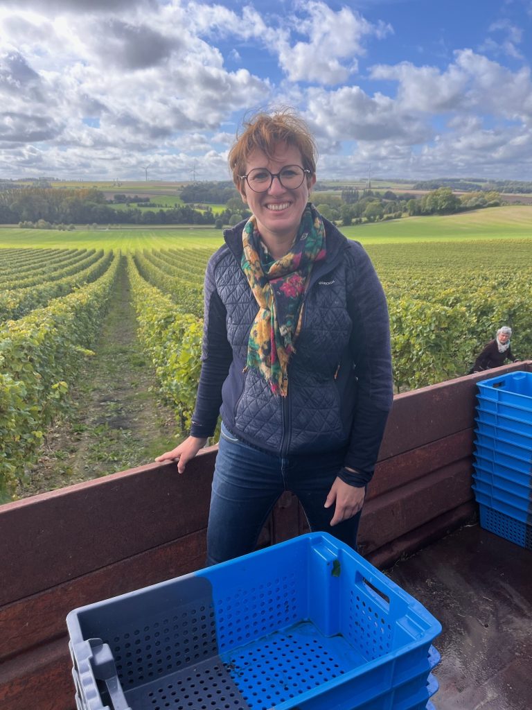 fresnicourt-le-dolmen viticulture