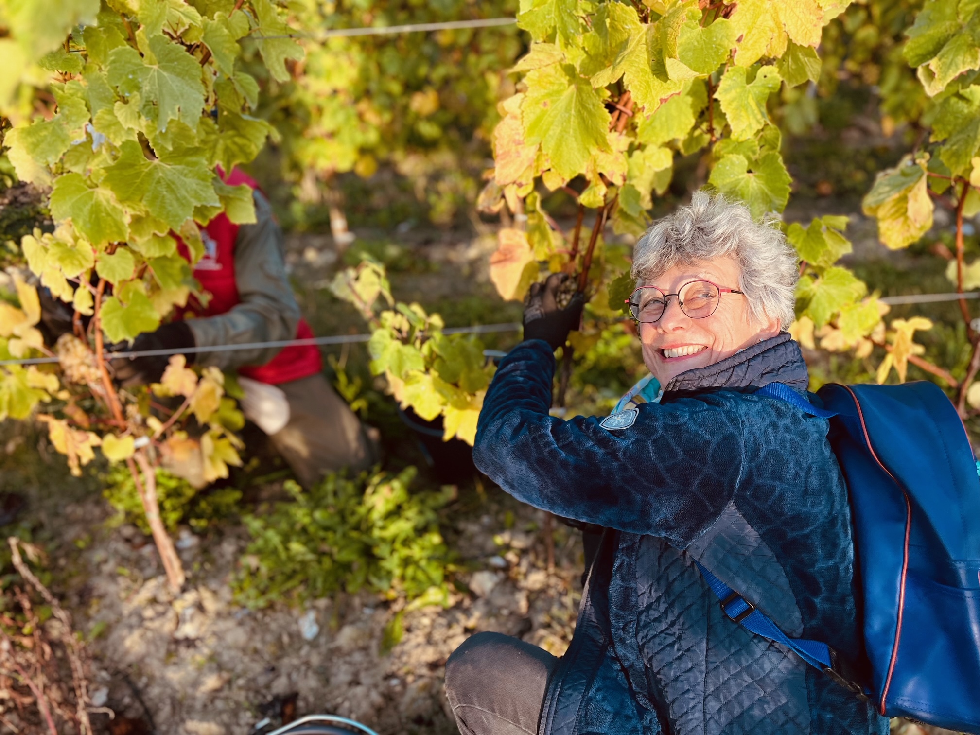 fresnicourt-le-dolmen viticulture