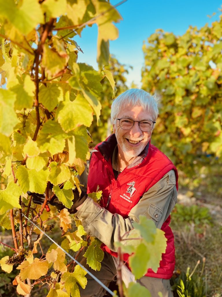 fresnicourt-le-dolmen viticulture