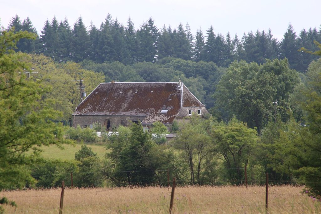 Le sommet du département du Nord s'envisage comme un vaste plateau entre bocage et forêts avec le Bois Saint-Hubert.©FD