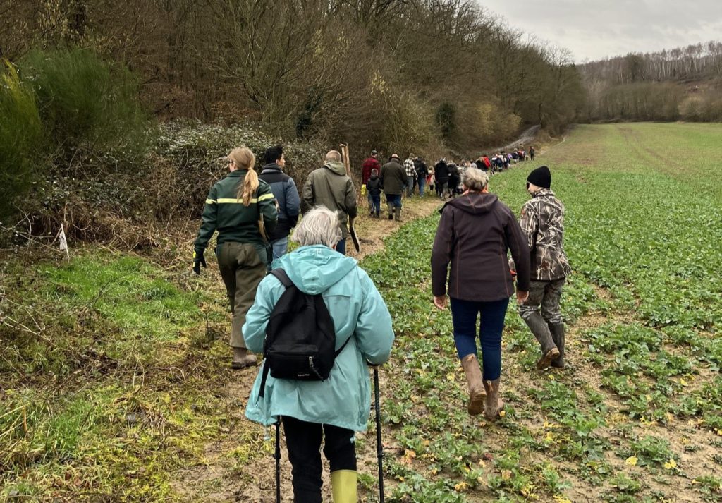 Plusieurs activités sont organisées dans les différentes forêts du territoire. © ONF