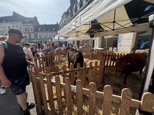 Fête de la nature Béthune ©VP