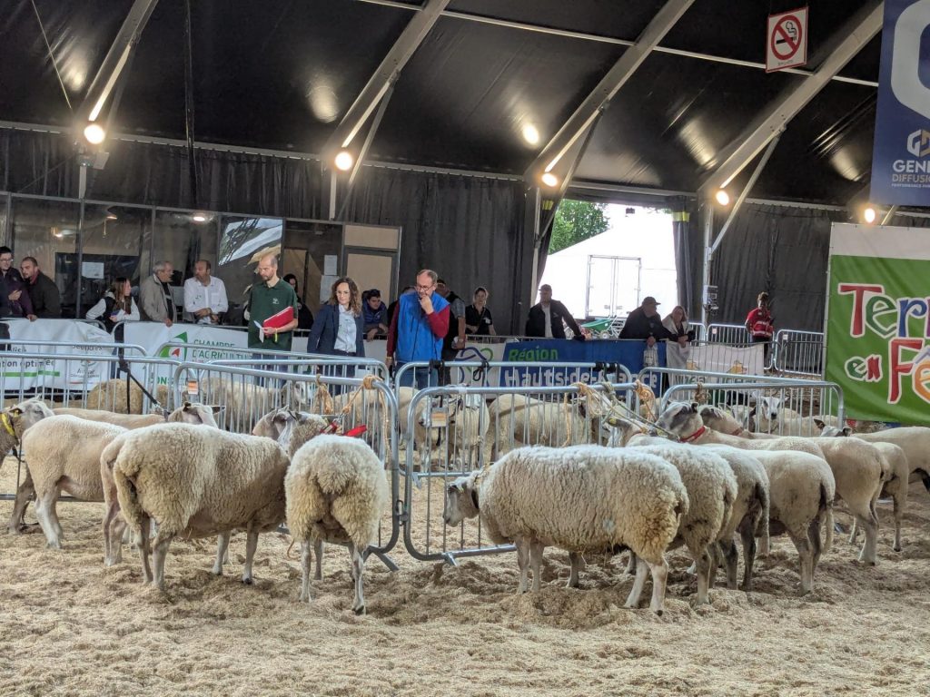 Terres en fête 2026