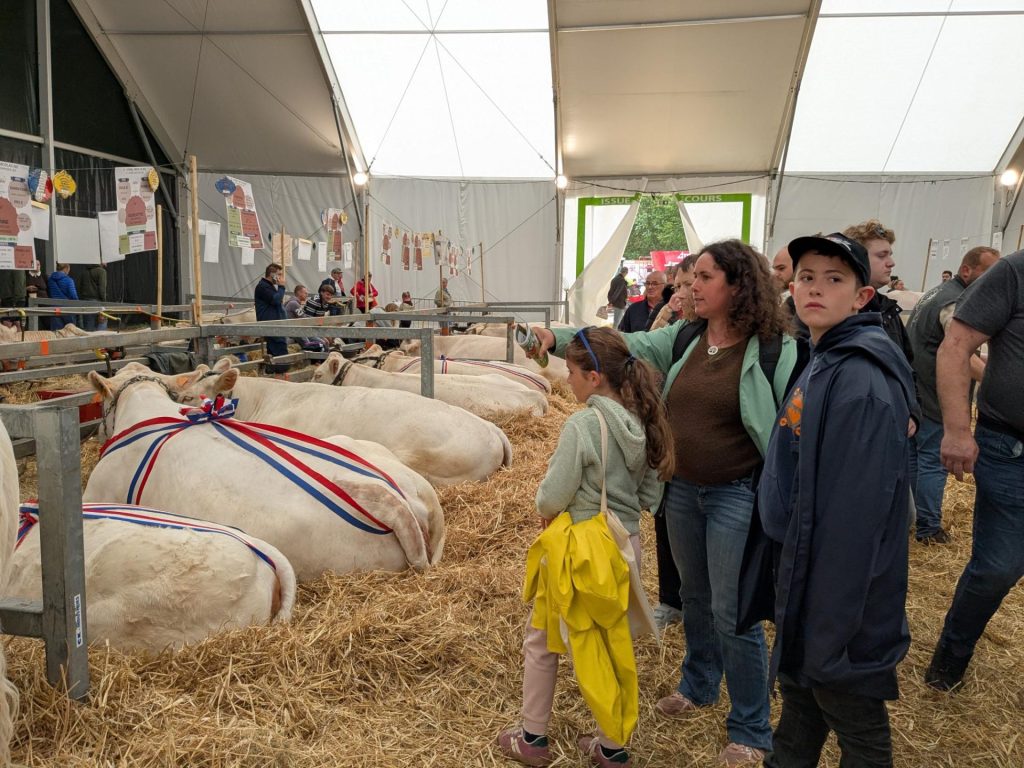 Terres en fête ambiance 2026