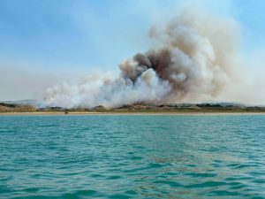 180 hectares partis en fumée sur la Côte d'Opale, le feu toujours pas fixé